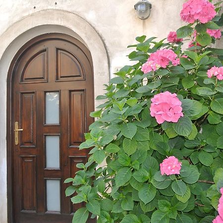 B&B Casa Antonia Trentinara ภายนอก รูปภาพ