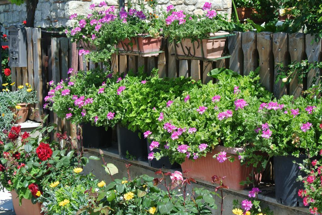 B&B Casa Antonia Trentinara ภายนอก รูปภาพ