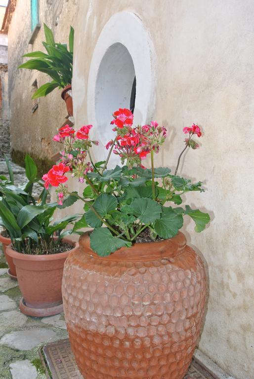 B&B Casa Antonia Trentinara ภายนอก รูปภาพ