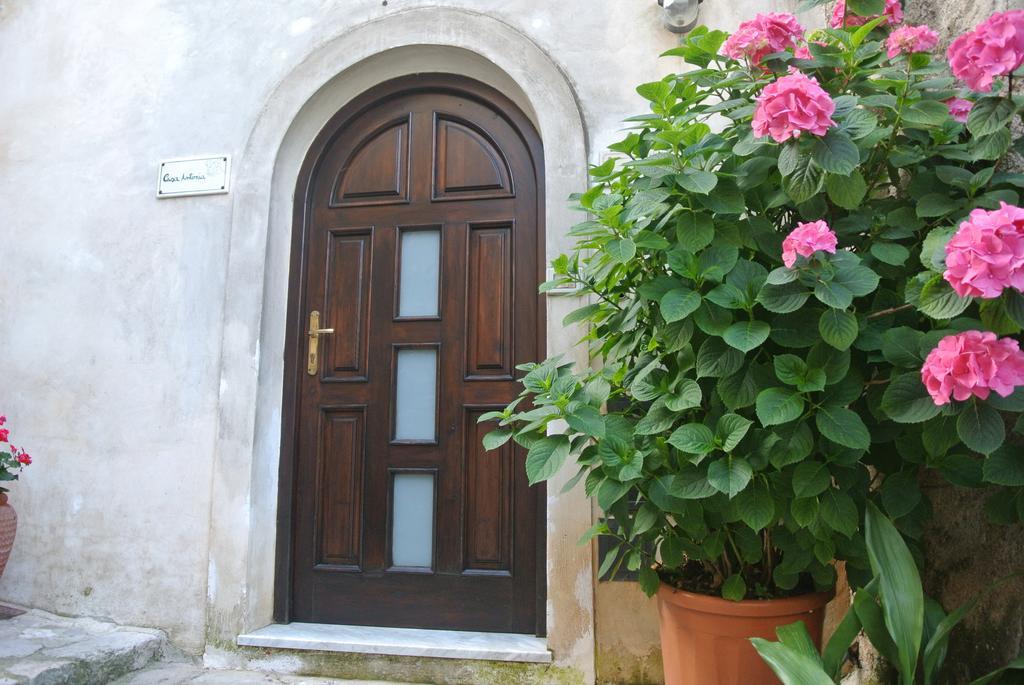 B&B Casa Antonia Trentinara ภายนอก รูปภาพ